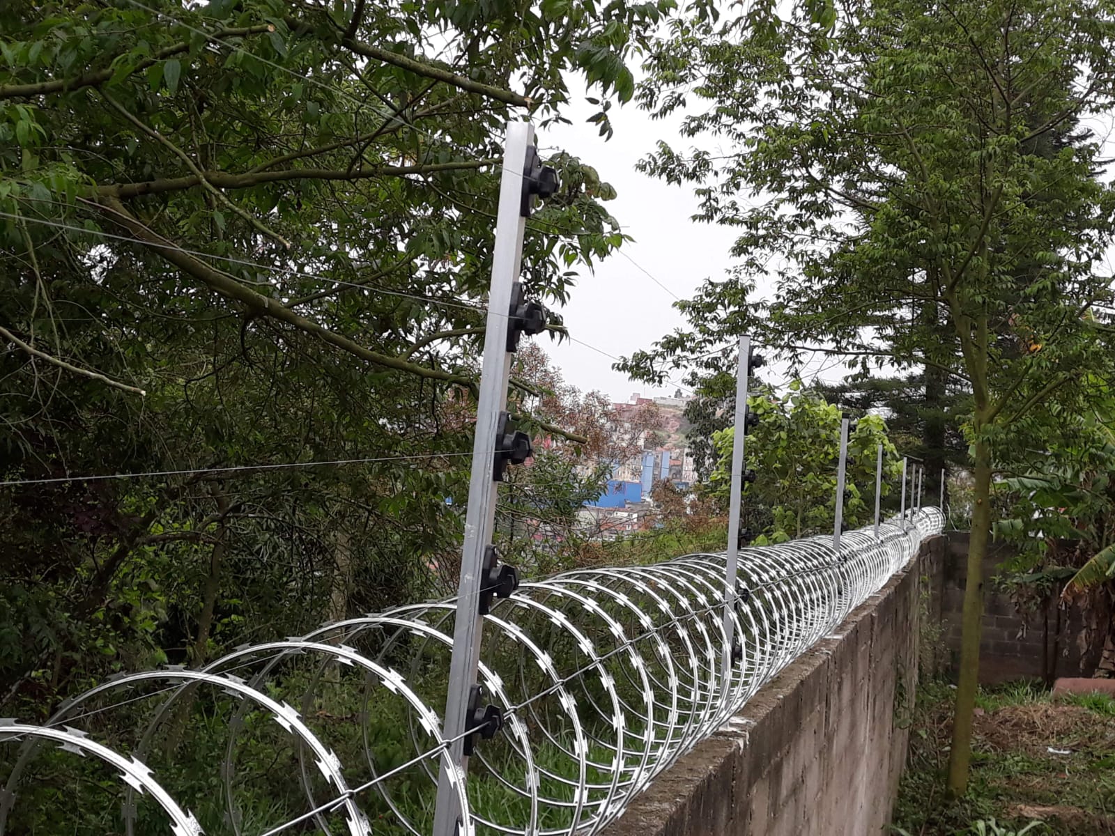 Concertina com postes de fixação em propriedade rural